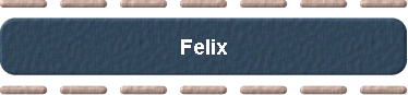  Felix 