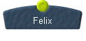  Felix 